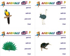 Holzcomputer-animals 05.pdf
